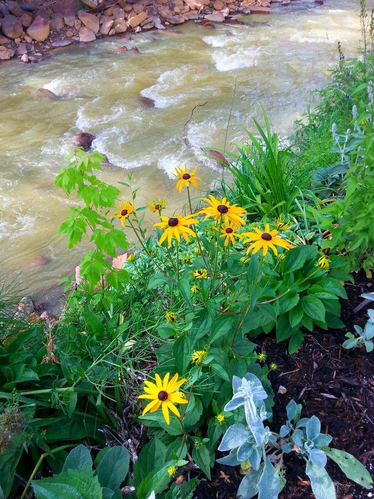 Rivers Edge Motel Lodge & Resort Ouray Esterno foto