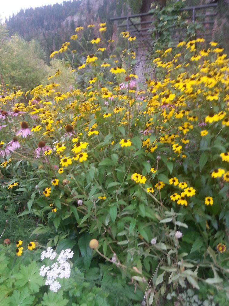 Rivers Edge Motel Lodge & Resort Ouray Esterno foto