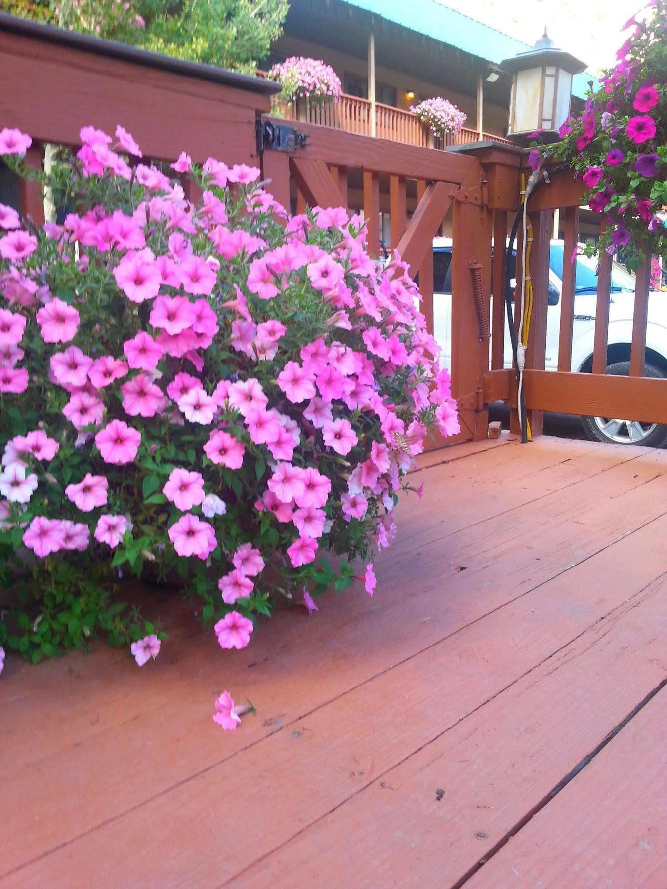 Rivers Edge Motel Lodge & Resort Ouray Esterno foto